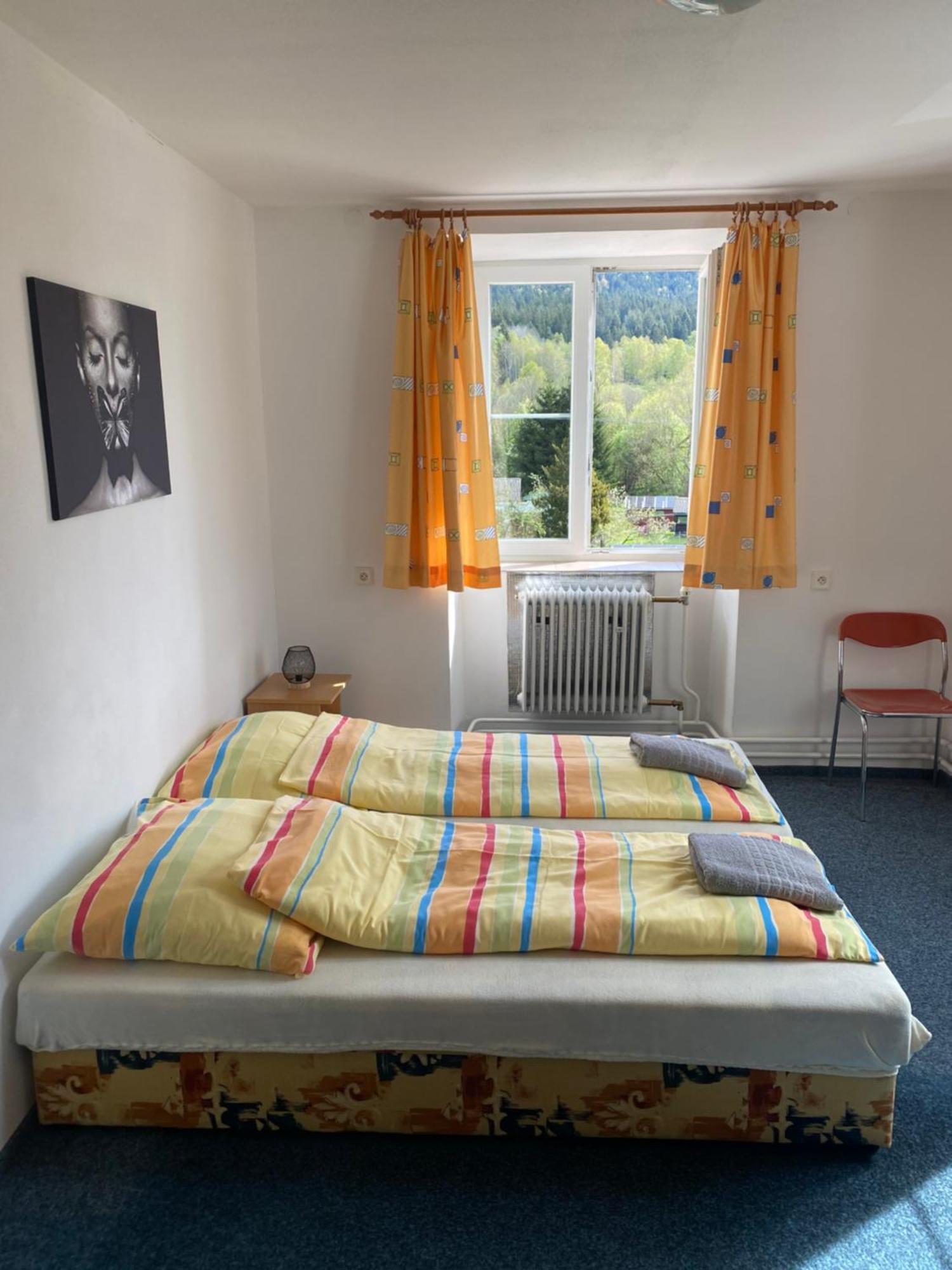 Penzion Tereza Horní Vltavice Extérieur photo